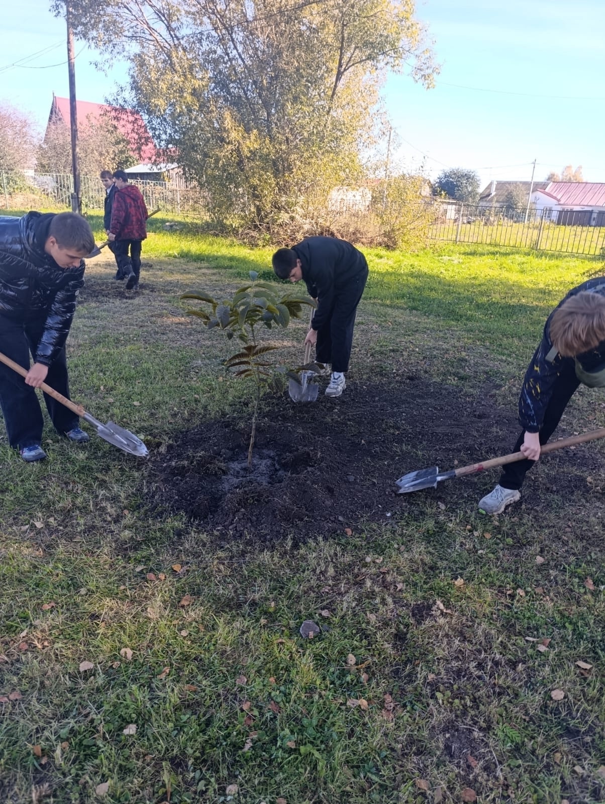 Озеленение в Рязанской области!.